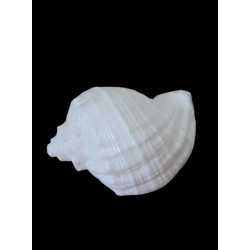 Flexible silicone shell mold