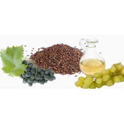 Grapeseed Carrier Oil