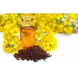 Mustard Seed Oil-cold pressed