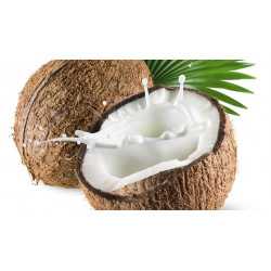 Coconut milk organic powder