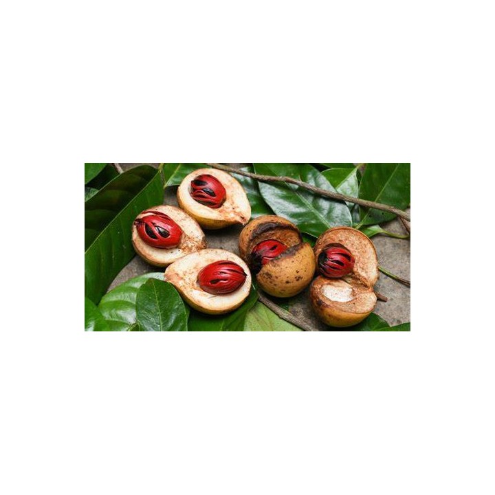 Ulei esential de Nutmeg