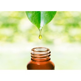 Cosgard conservant cosmetic