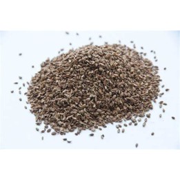 Ulei esențial de semințe de morcov (Carrot Seed)