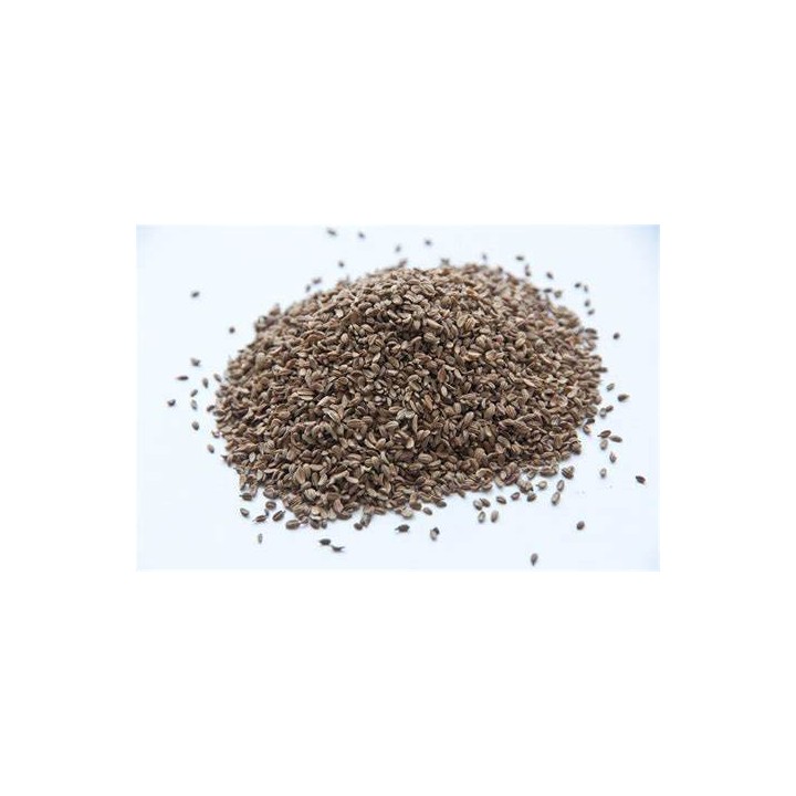 Ulei esențial de semințe de morcov (Carrot Seed)