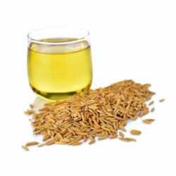 Rice Bran Carrier Oil