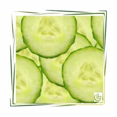 Ulei de parfum "Gurke" (Castravete)-MANSKE