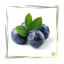 Perfume oil "Blueberry"