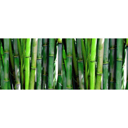 Extract de Bambus(Bambusa...