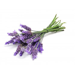Parfumant lumanari "Lavender"