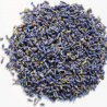 Lavanda flori uscate