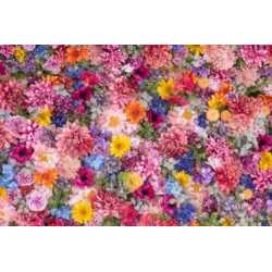 Ulei de parfum FLOWER BOMB