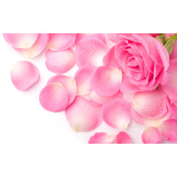 Parfumant natural "Rose...
