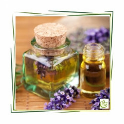 Perfum oil Lavender amber