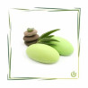 Ulei de parfum "Aloe Vera"-MANSKE