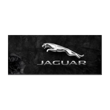 Parfumant UP JAGUAR