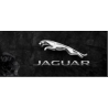 Parfumant UP JAGUAR