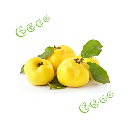 Ulei de parfum "Quince Harvest"(Recolta de Gutui)-Manske