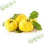 Ulei de parfum "Quince Harvest"(Recolta de Gutui)-Manske