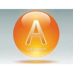 Vitamina A (retinyl palmitate)