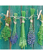 Herbs&Plants