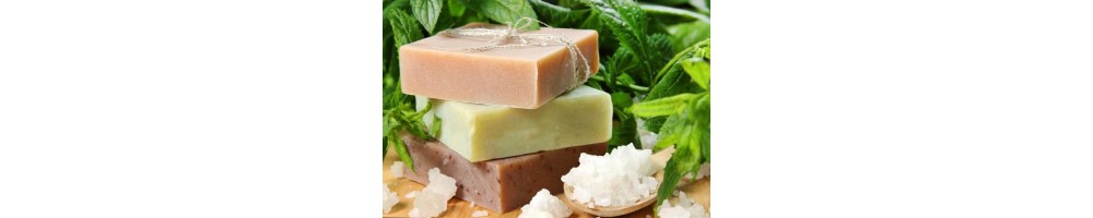 INGREDIENTE SAPUN